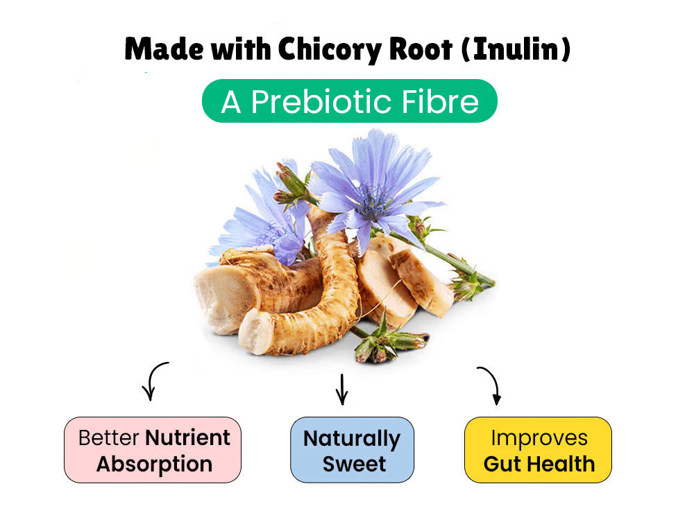 chicory roots for gut health