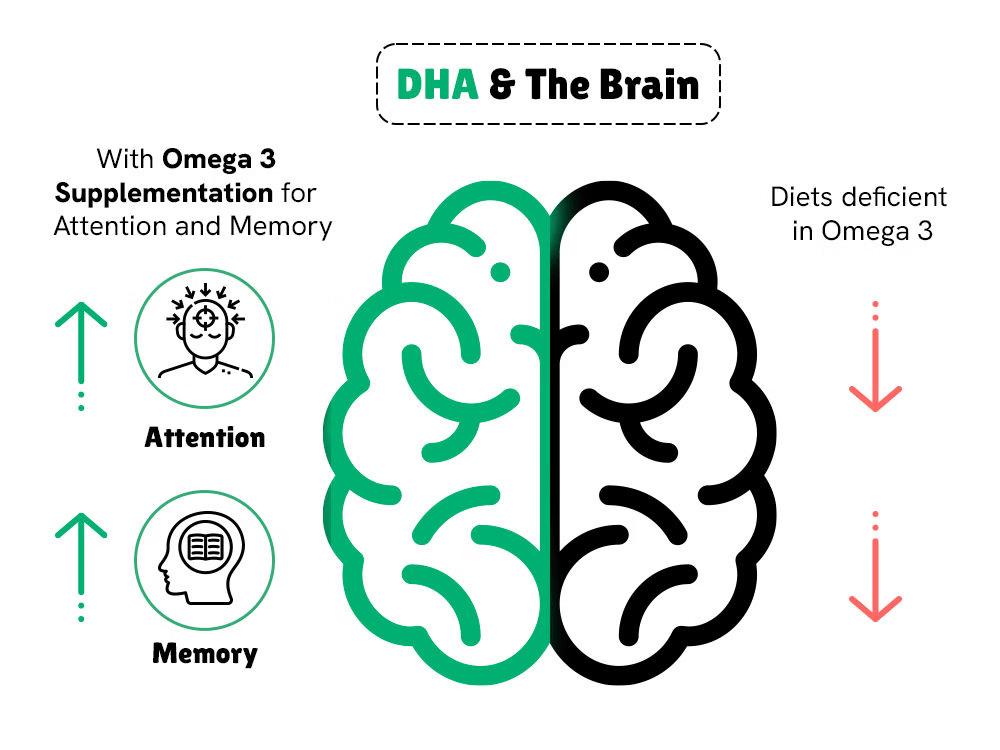 how DHA helps in kids brain health development