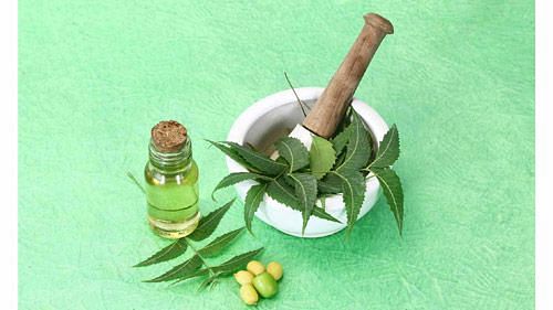 Neem Oil For Dandruff