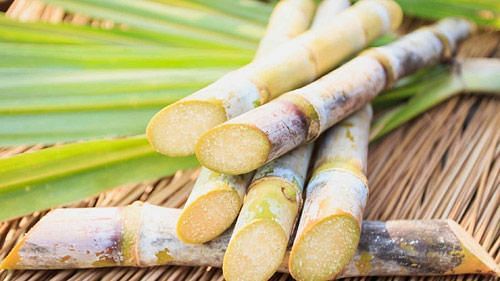 Sugarcane Juice Benefits