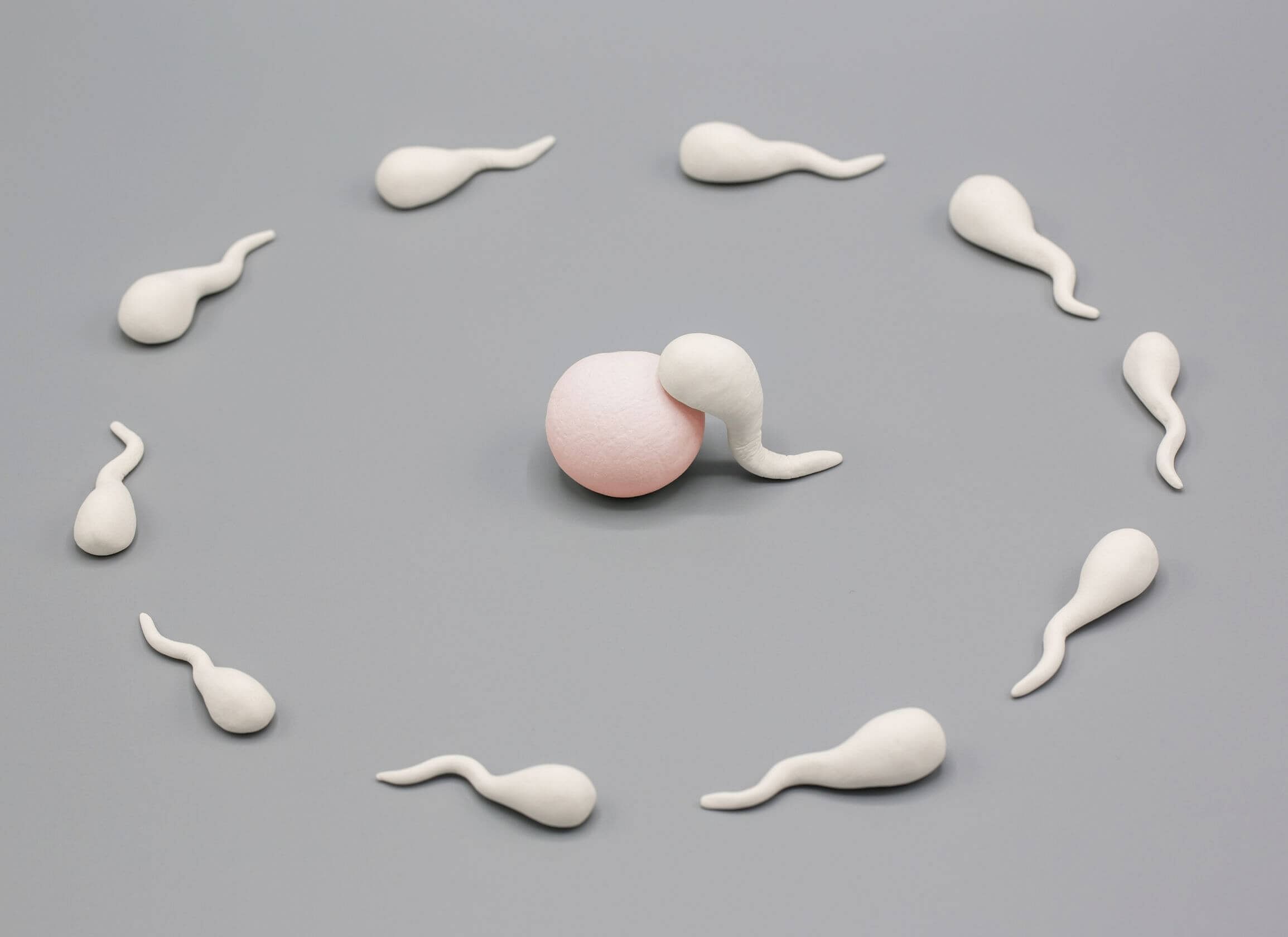 Does Releasing Sperm Affect Muscle Growth?